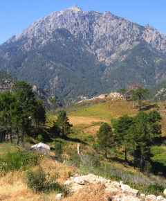 parc national haute corse