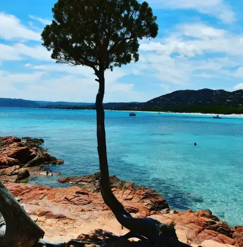 plage palombaggia