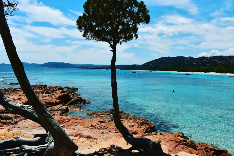 plage palombaggia